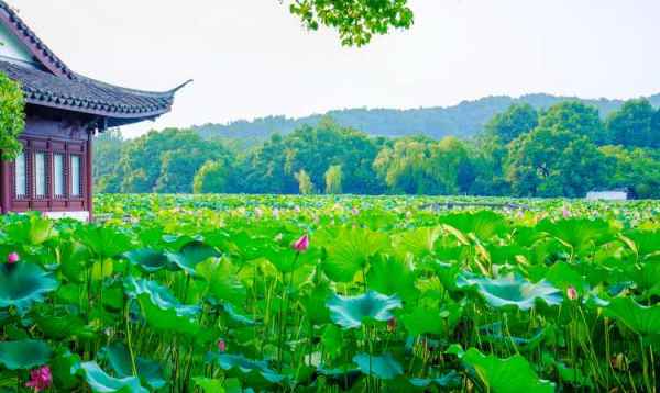 幾月適合去杭州（幾月適合去杭州白馬湖公園）