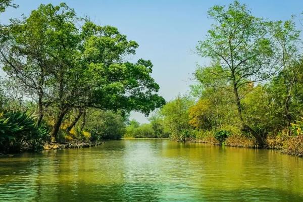 杭州到3月底免費景點（3月去杭州旅游）