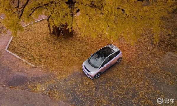 a0級車銷量排行榜（a0級車銷量排行榜前十名）