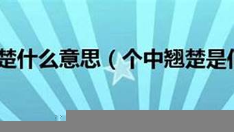 個中好手是什么意思（個中好手是成語嗎）