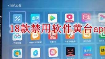 十八款禁用軟件的app（十八款禁用軟件的app黃臺綠色版）